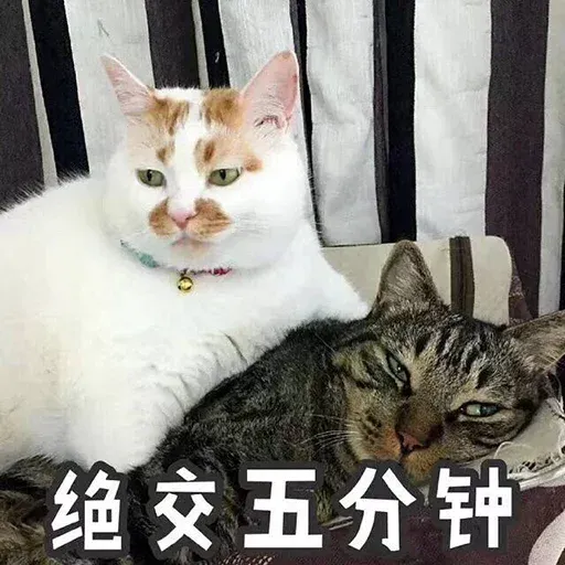 CuteCat2 - Sticker 28