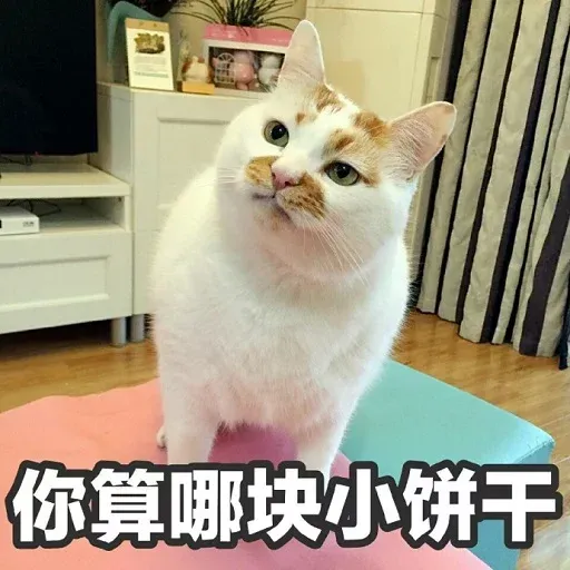 CuteCat2 - Sticker 25