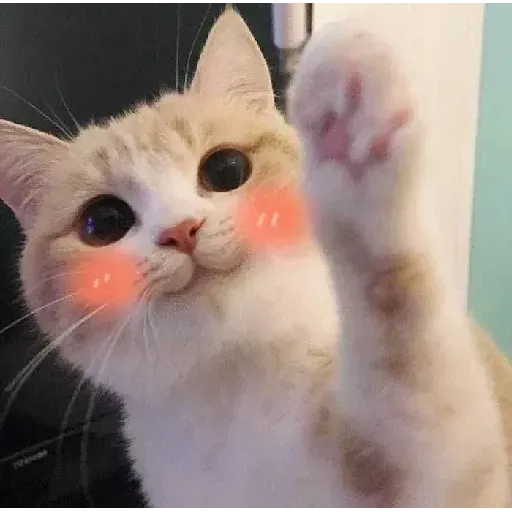 gAtOs - Sticker 15