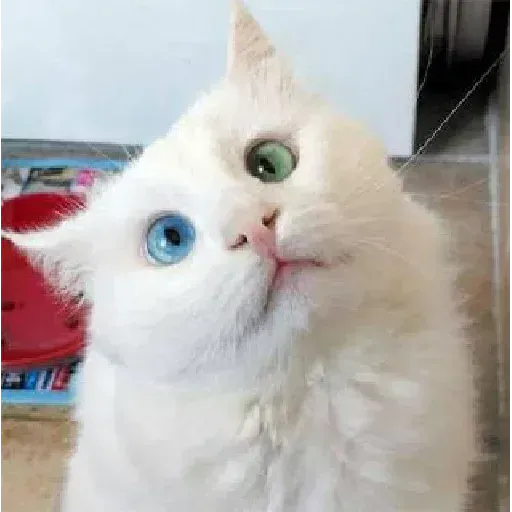 gAtOs - Sticker 13