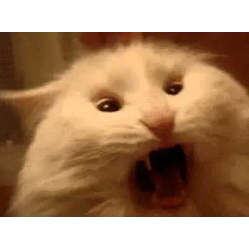 gAtOs - Sticker 18