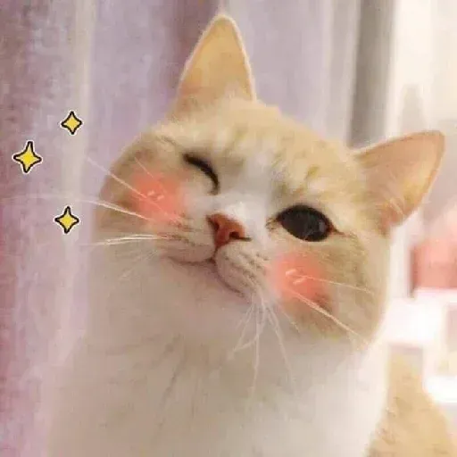 gAtOs - Sticker 9