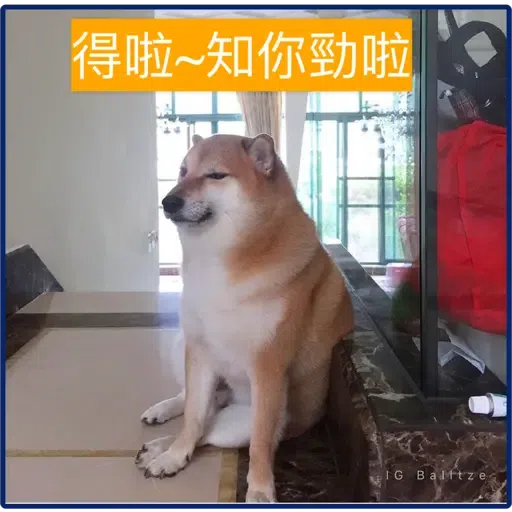 柴犬 - Sticker 15
