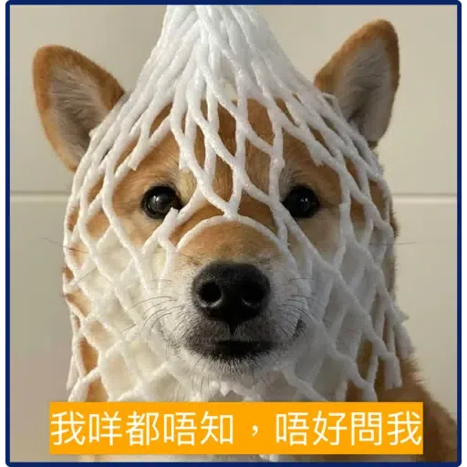 柴犬 - Sticker 9