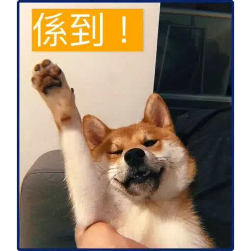 柴犬 - Sticker 13
