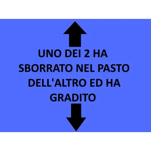 Strunz - Sticker 25