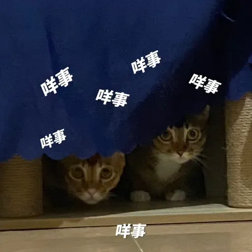 金絲貓2 - Sticker 16