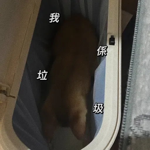 金絲貓2 - Sticker 24
