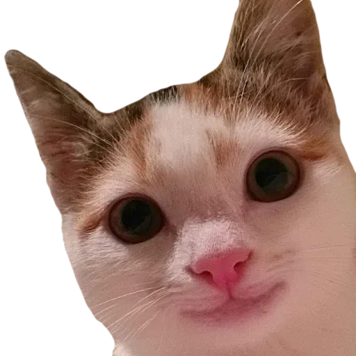Owo - Sticker 19