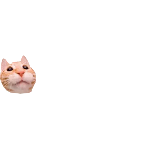 Owo - Sticker 28