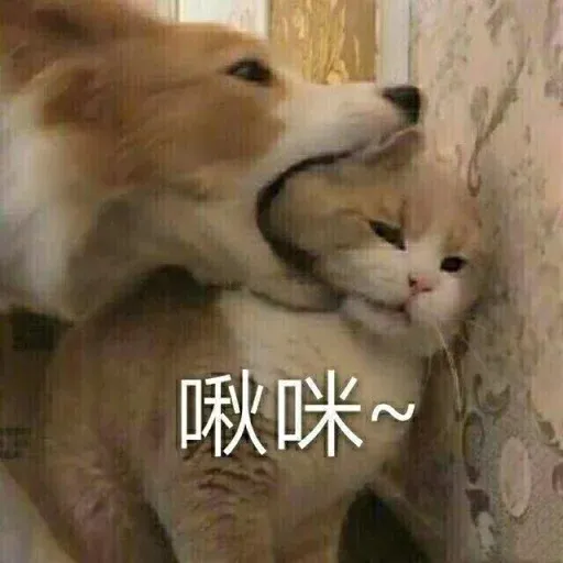 沙雕 - Sticker 26