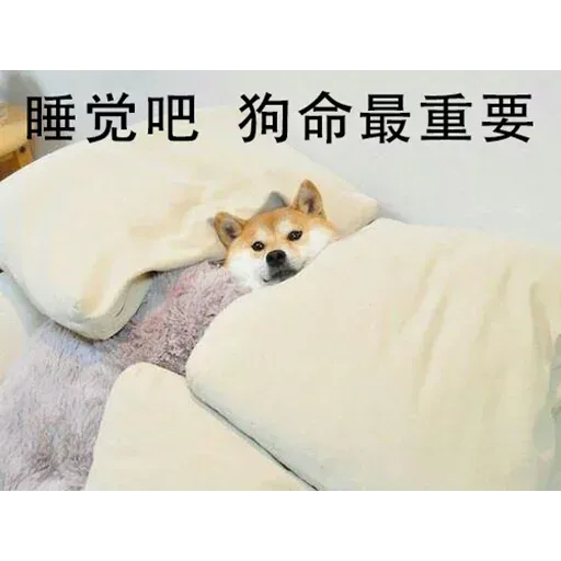 沙雕 - Sticker 24
