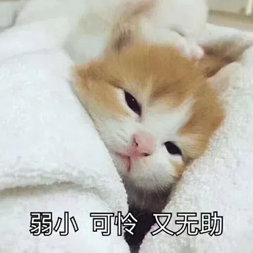 沙雕 - Sticker 29