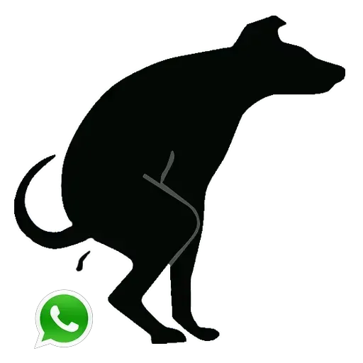 Antiwhatssap - Sticker 10