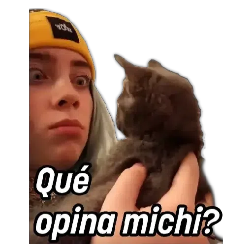 Chistes - Sticker 11