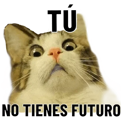 Chistes - Sticker 29