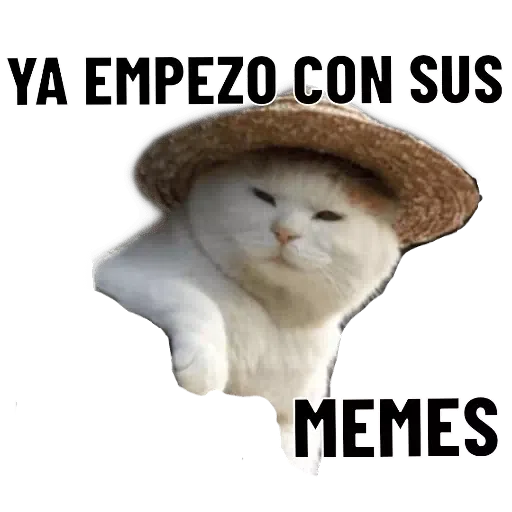 Chistes - Sticker 26