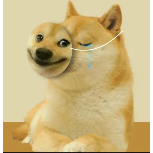 Nay - Sticker 9
