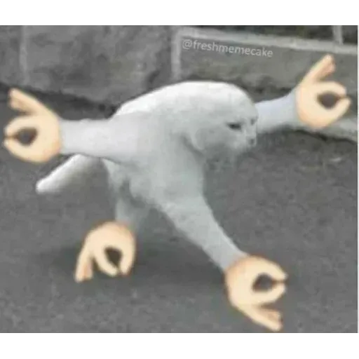 MEME reactions pack - Sticker 11