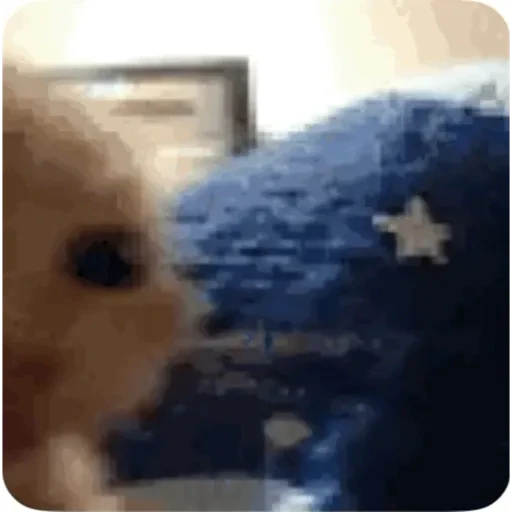 TikTok Animated Memes 7 - Sticker 21