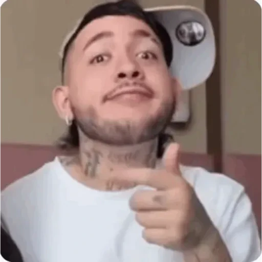 TikTok Animated Memes 7 - Sticker 15