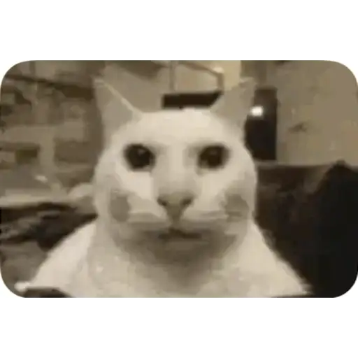 TikTok Animated Memes 7 - Sticker 20