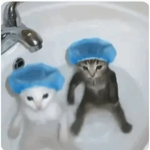 TikTok Animated Memes 7 - Sticker 27