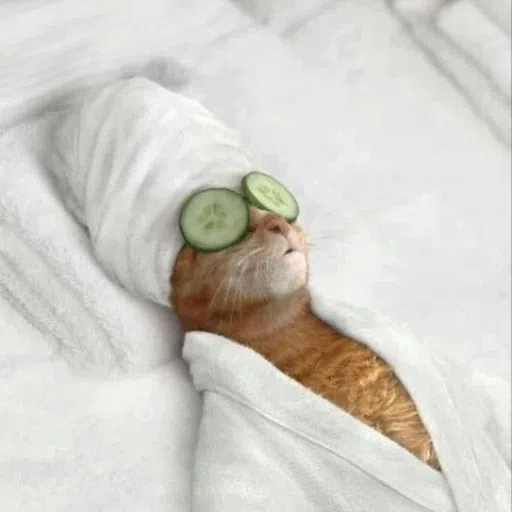 Cattos - Sticker 17