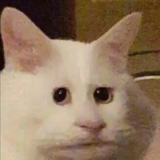 Meme - Sticker 11
