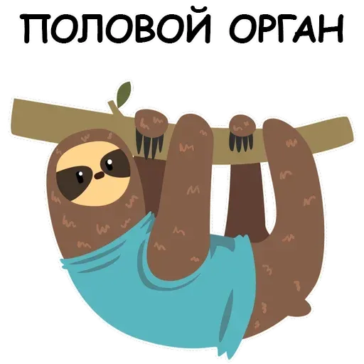 Ленивец - Sticker 15