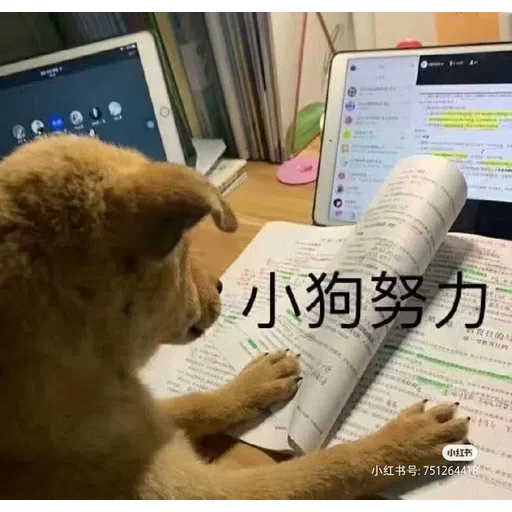 DOG - Sticker 15