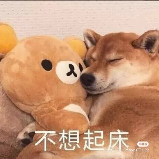 DOG - Sticker 11