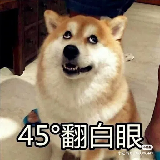 DOG - Sticker 14