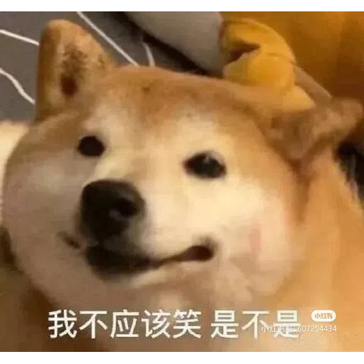 DOG - Sticker 9