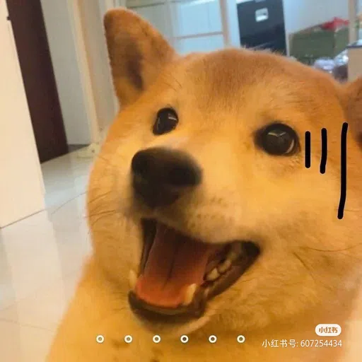 DOG - Sticker 20