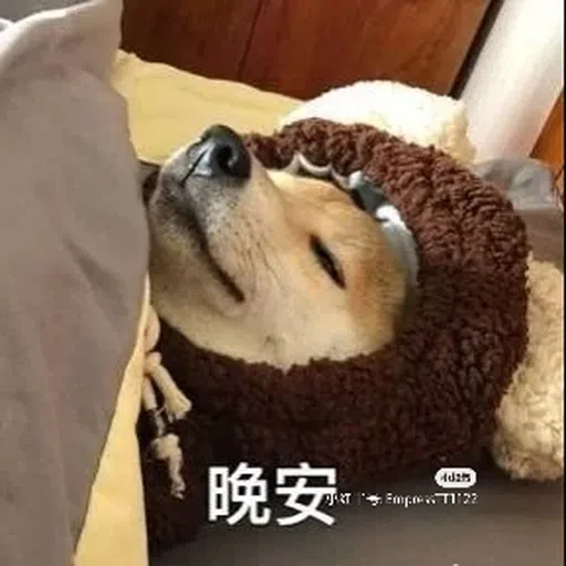 DOG - Sticker 18