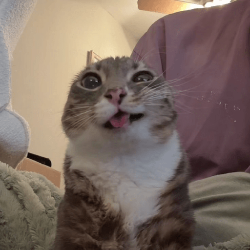 TikTok Stickers 4 - Sticker 10