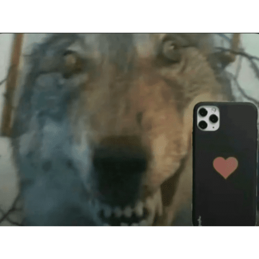 TikTok Stickers 4 - Sticker