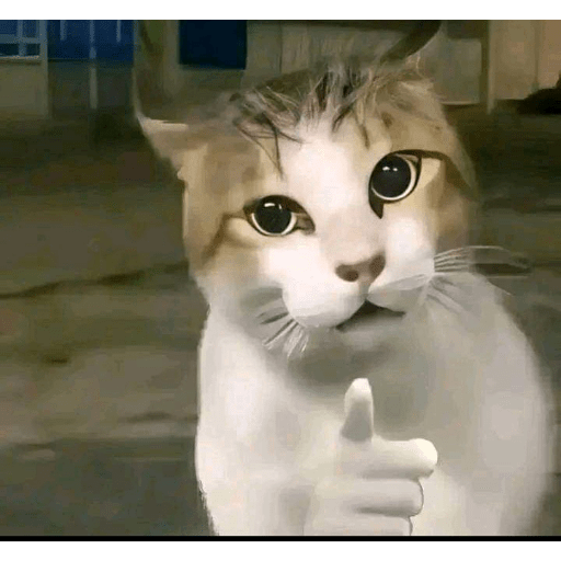 TikTok Stickers 4 - Sticker 19