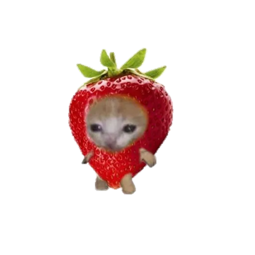 Michicosas - Sticker 15