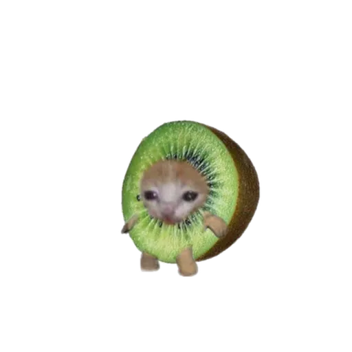 Michicosas - Sticker 17