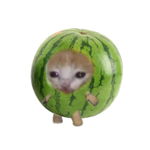 Michicosas - Sticker 27