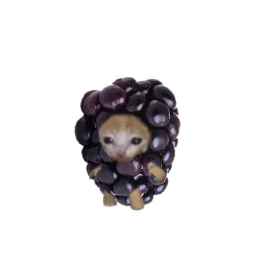 Michicosas - Sticker 30