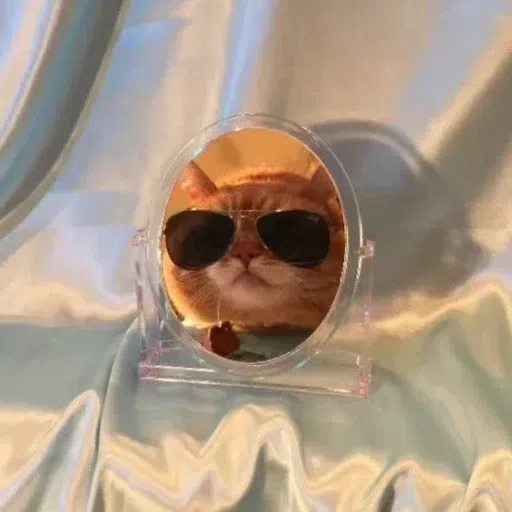 CAT2 - Sticker 26
