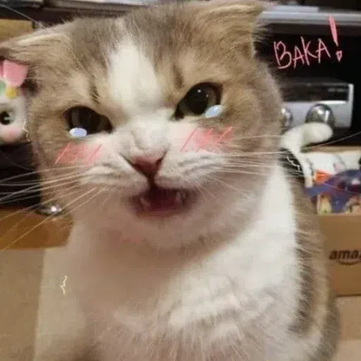 CAT2 - Sticker 22