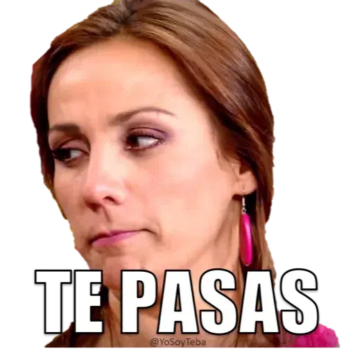 Memes PeGoFe - Sticker 21