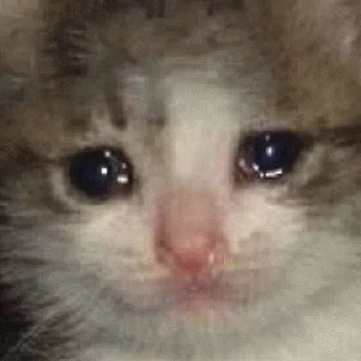 Oof3 - Sticker 18