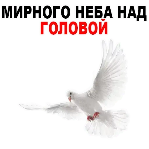 9 мая (Часть 1) - Sticker 18
