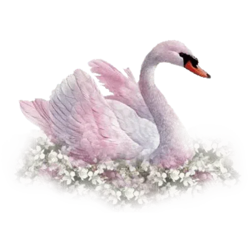 Birds - Sticker 15