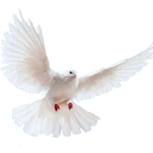 Birds - Sticker 12